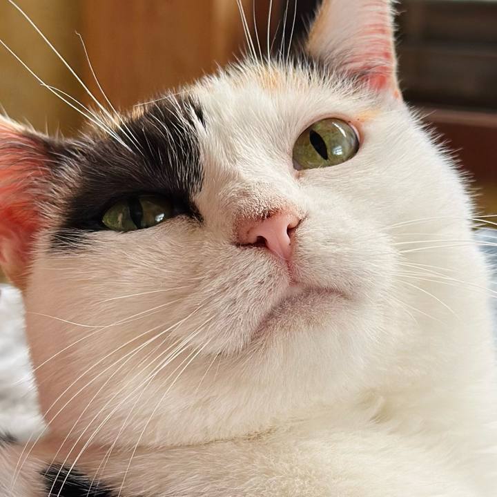 E25bfee8 670b 4ba4 b6ae 79b79482b3c3 1724717526322