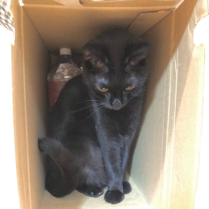 E25c20dc 0912 48a0 a75d 9391169b27cc 1625662089110