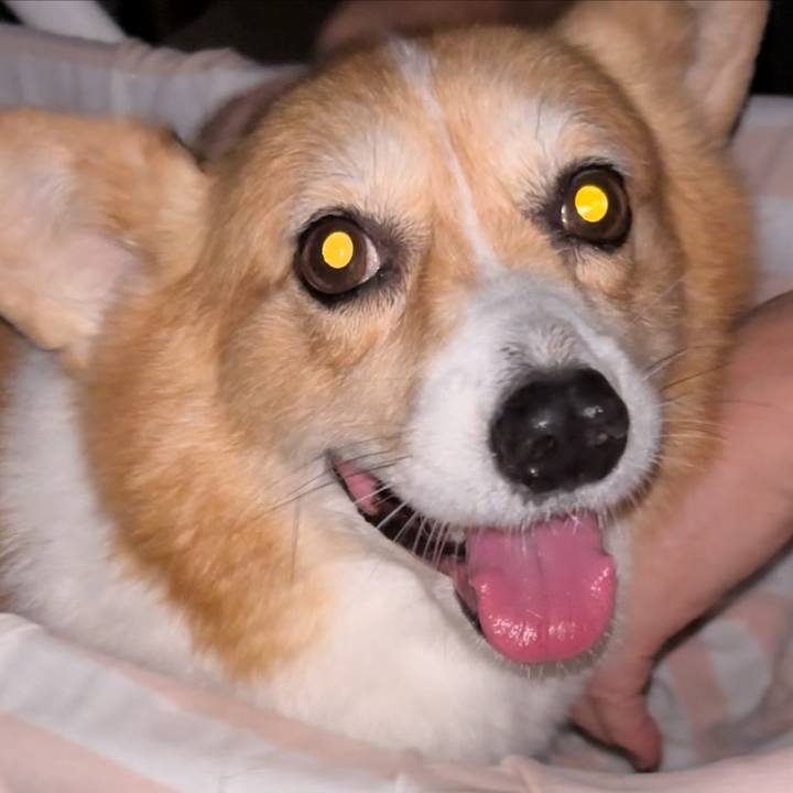 E25c30fc 3912 454e ac9e 3af053ceb288 1726999143526