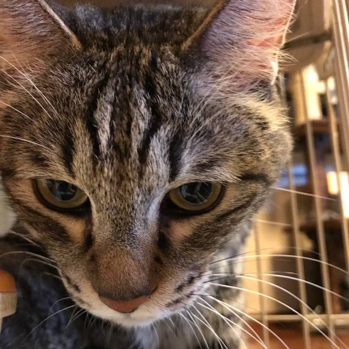 E25c4ac9 6abd 48e9 a4e4 6f5843a1a2d2 1571726889020