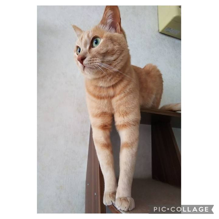 E25c57da 52ba 4d8e ade9 b0bea6000d9a 1672787500257