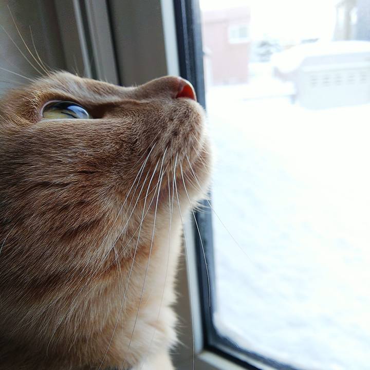 E25c58c2 8921 45a6 bb5c 6fdb421db179 1609633187182