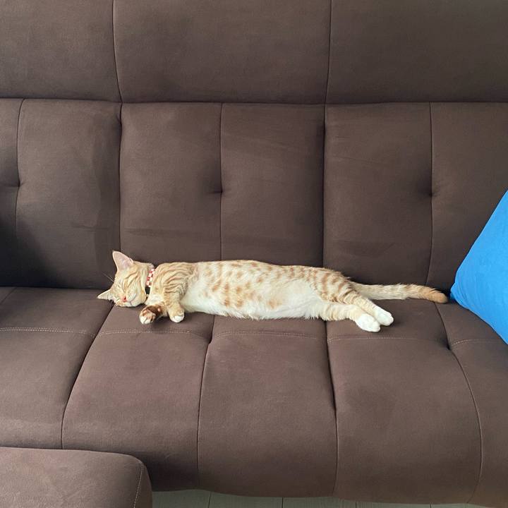 E25c607d fae1 4632 92cb ba52a4f74d16 1600406251522