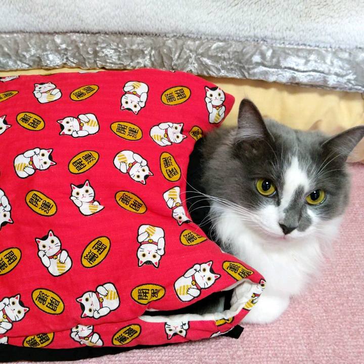 E25c6453 111e 489e b574 221e3ac2c2c2 1611373946985