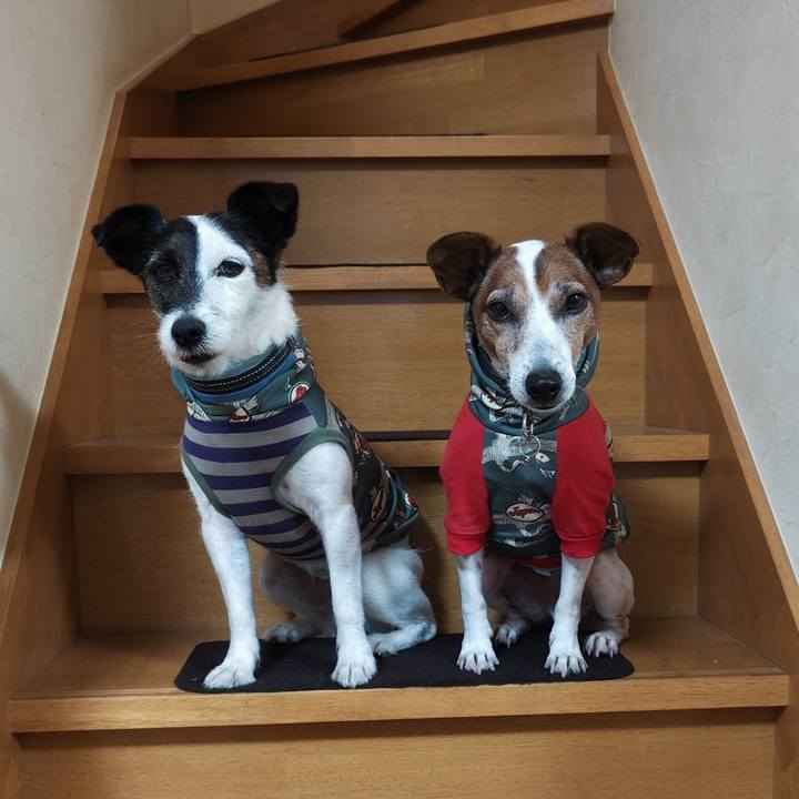 E25c89f7 3ce4 462f a9e2 a06d7fb517c6 1755086590582