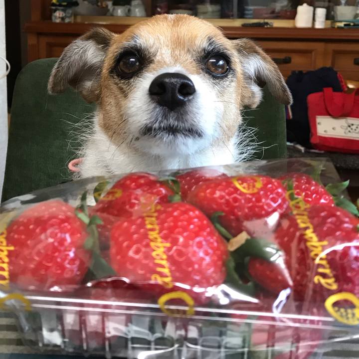 E25c8b46 7b8c 48ce afaf 9d98eb519661 1548751822622