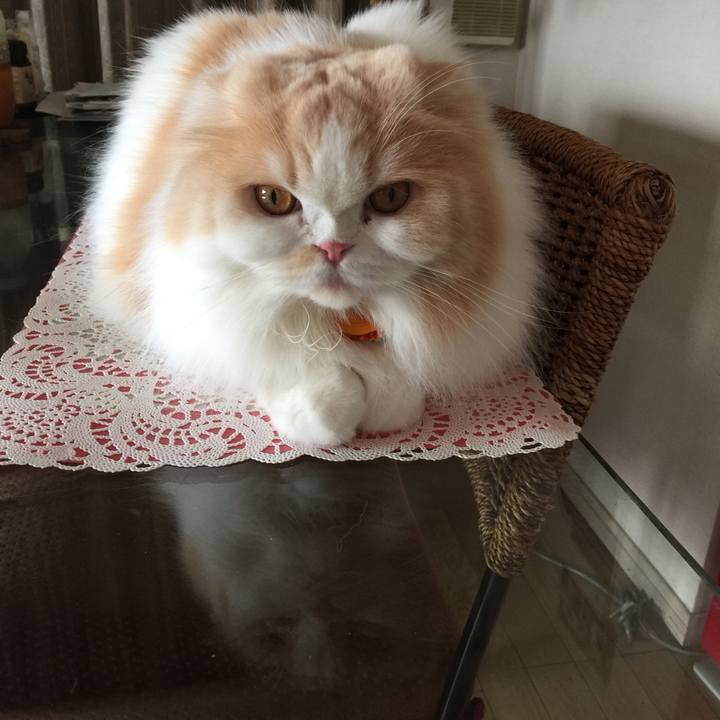 E25ca89c 7c81 40be 867e 2429d8cf247c 1532559047400