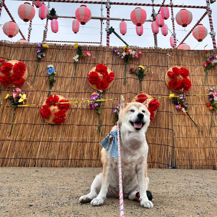 E25cb39a 8069 433e b8f1 c8fe82120236 1754006216474