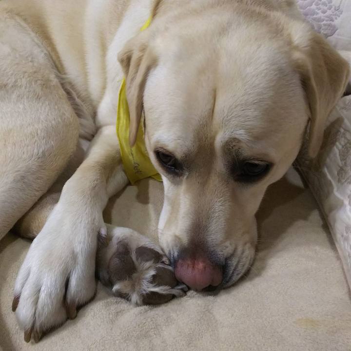 E25cde73 8ce7 4dec 8853 4495aafc79e5 1516266351364