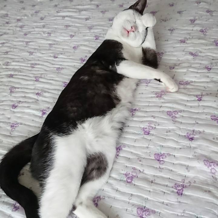 E25cf44e 8251 4b67 9cda a13720fb813b 1510671869403