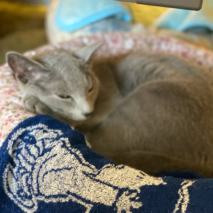 E25cfcc6 11bd 4476 be2b b38d63b1c806 1627981986796