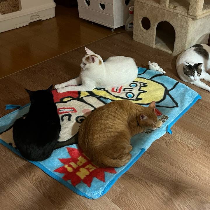 E25d027d 4f90 43a0 b289 ac6e50e5d437 1678719685509