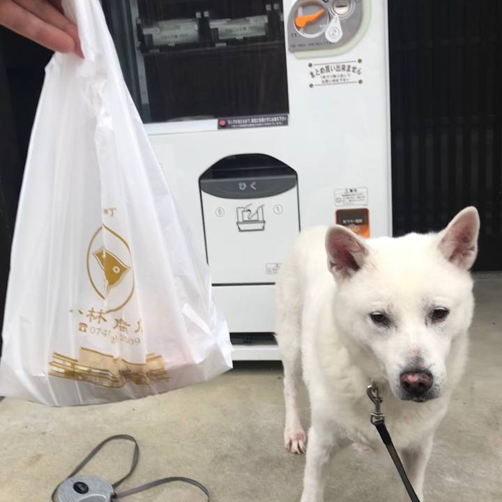 E25d07ad 87ab 44cc 9fb6 de85a711b5c4 1525312172823