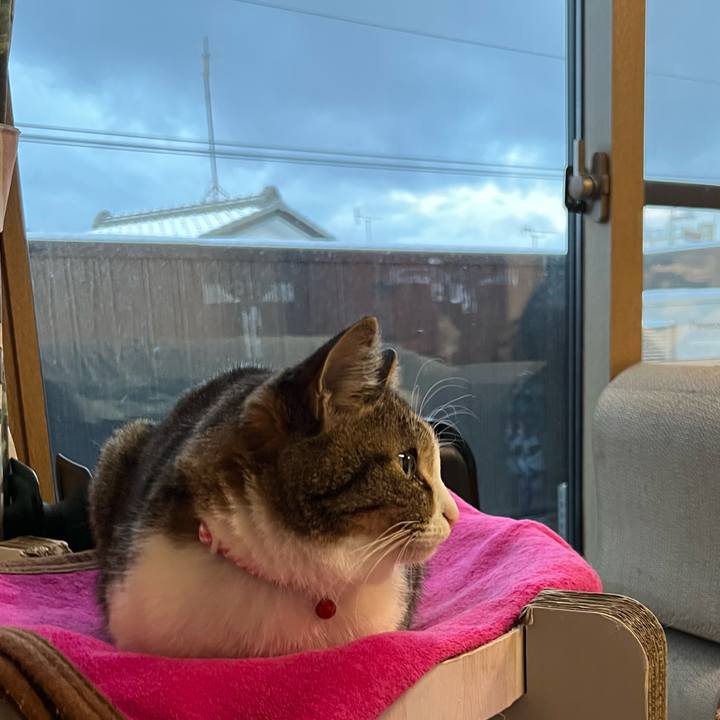 E25d3859 871f 49c6 b953 643542873b9a 1739830638662