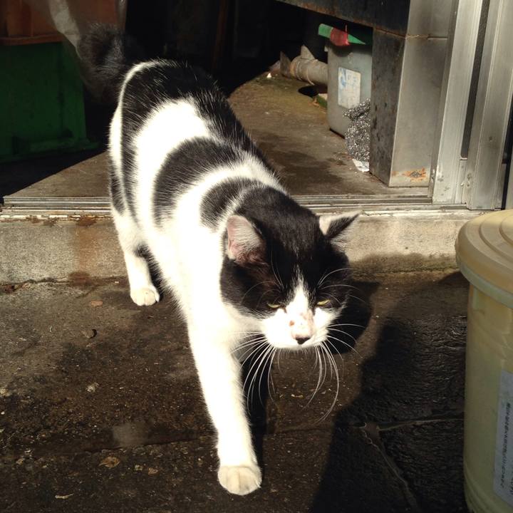 E25d45c5 9465 4b8e bc90 6d38ef7171f5 1509629529321