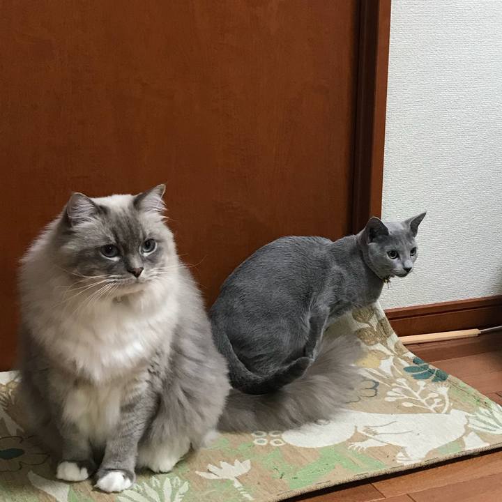 E25d788b dca5 4531 971a 745ed6ffc7c3 1512130974205