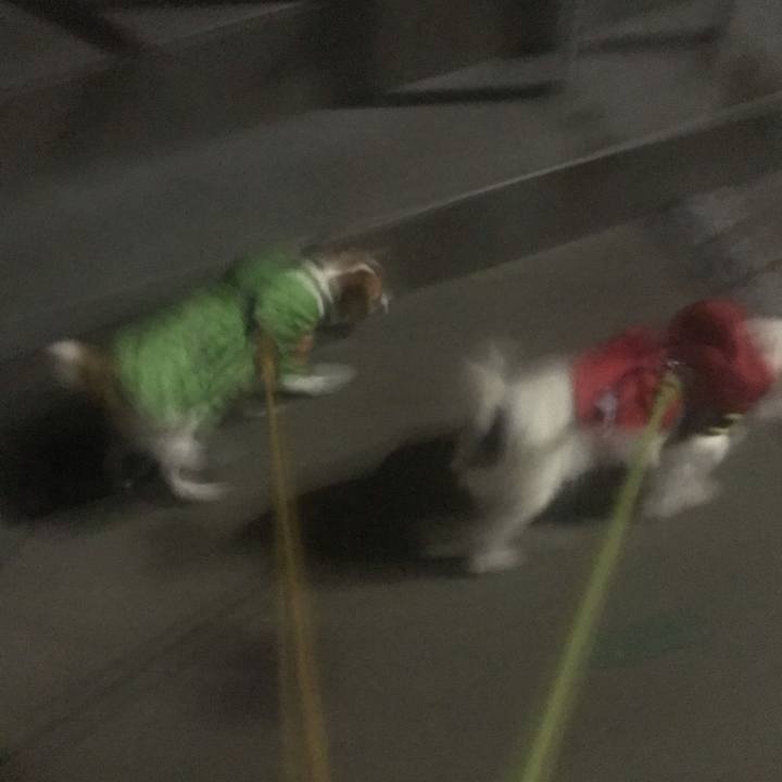 E25d7f80 a33e 43c9 b257 9b639d5f0842 1537959459611