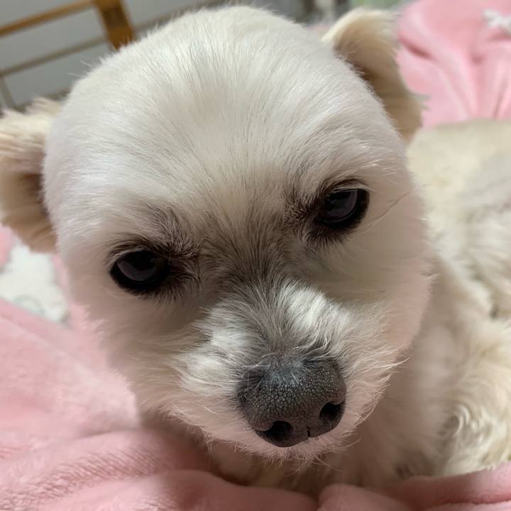 E25d9a13 6385 4314 beac df2133ea96a1 1644316982456