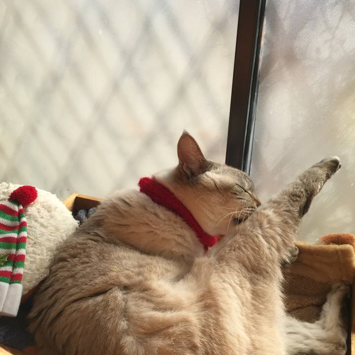 E25dc120 65d9 4194 a7ca 847441160e59 1543034082841