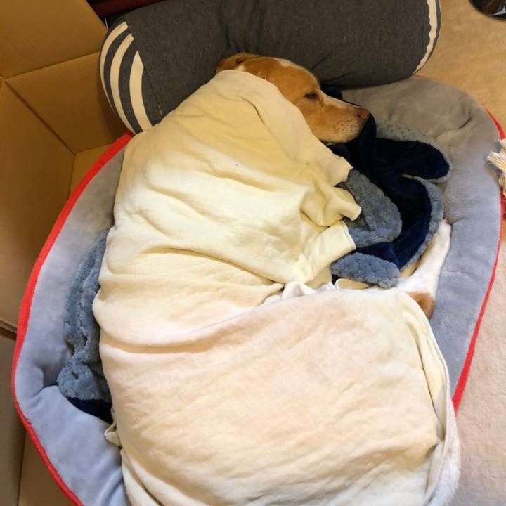 E25dca72 ad0b 43ad a4c2 52da07414a51 1618533173452