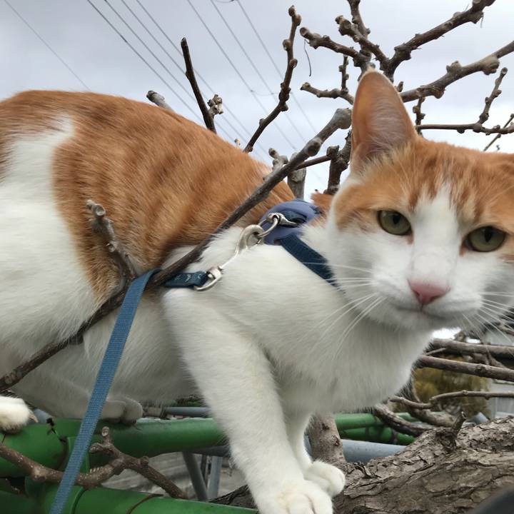 E25dd3c1 1dea 4d72 b0a9 1efe4b1e607b 1518318877400