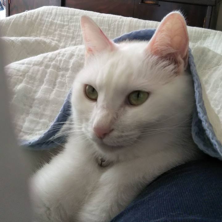 E25dde7f e297 416c 984e 449297f18426 1659910756059