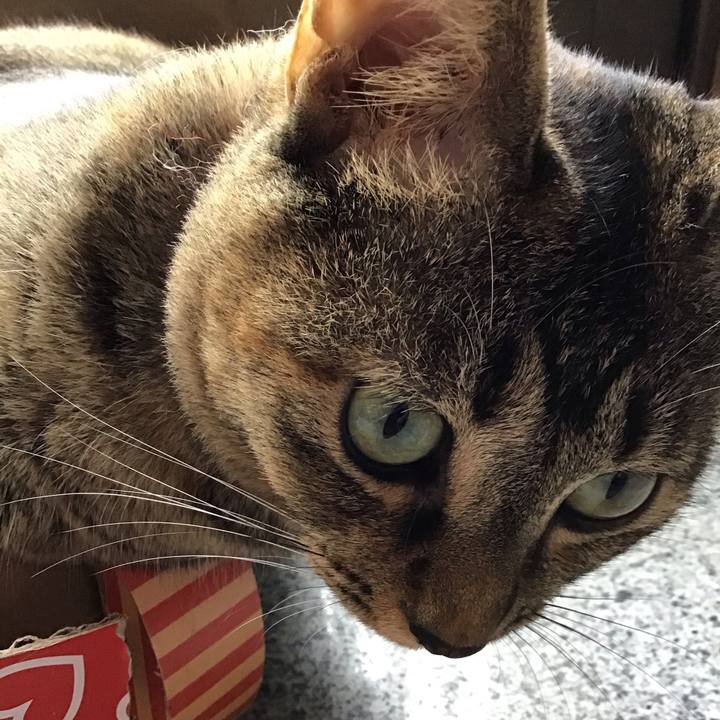 E25ded46 59c4 4023 a211 64588ec6246e 1596095857778