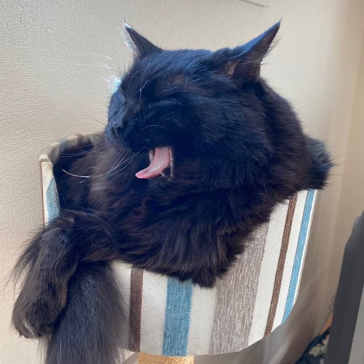 E25df42d 77dc 49cd a070 f18ab1acc5f9 1636682001701