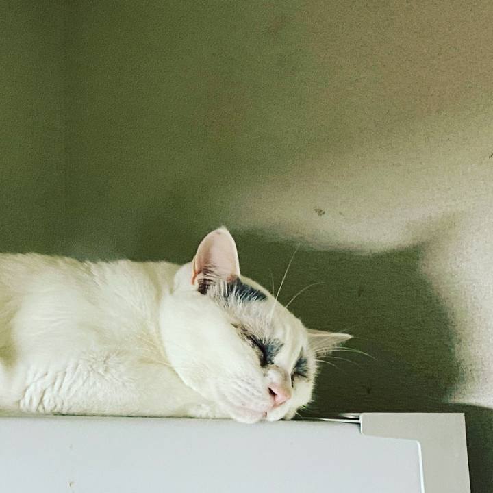 E25dfef1 975c 432c 85e8 d23f743a0757 1632399298220