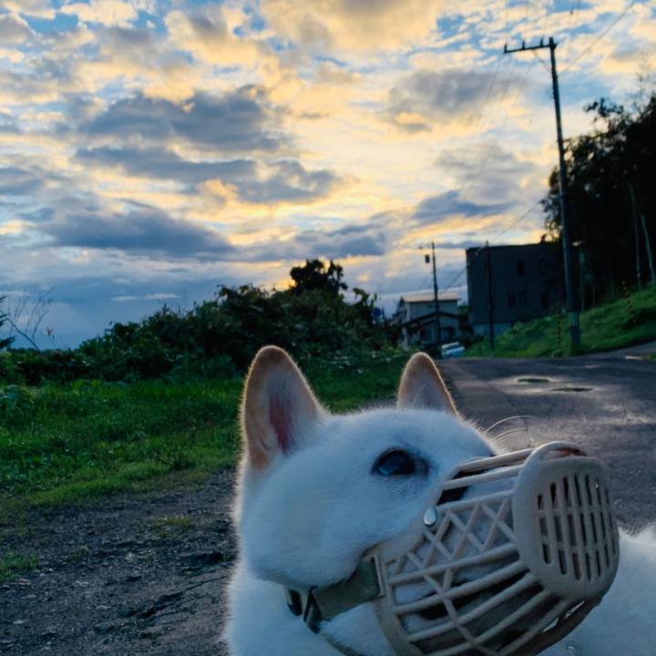 E25e0aff a107 49f5 b716 bd82f586258f 1600117219800