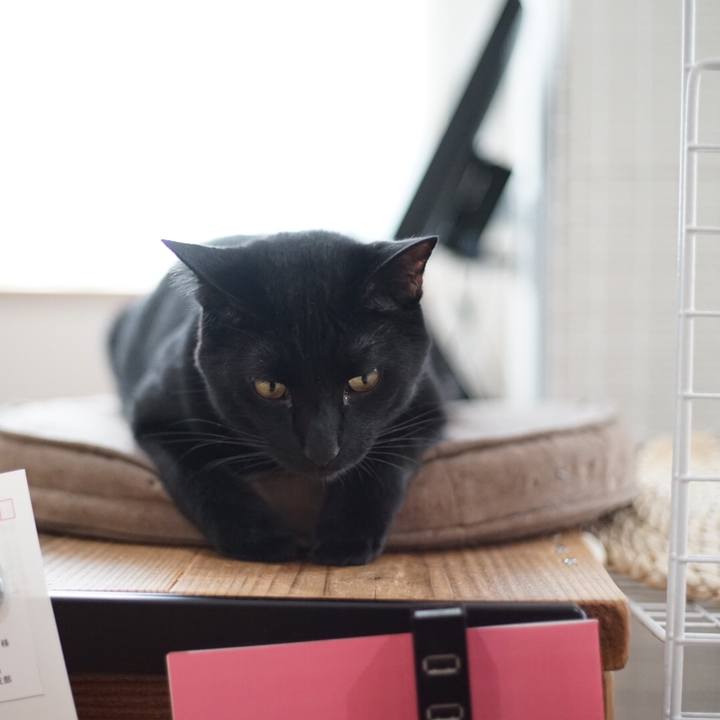 E25e0e3f d936 4f2b 8c10 98fd8f70c435 1526340914172