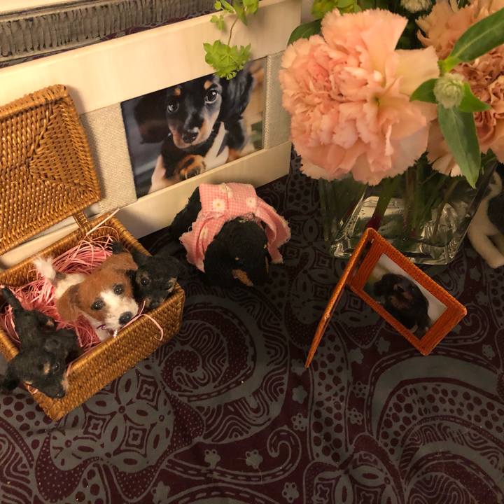 E25e1314 0a2f 4eb5 8444 c948704489b0 1584273671331