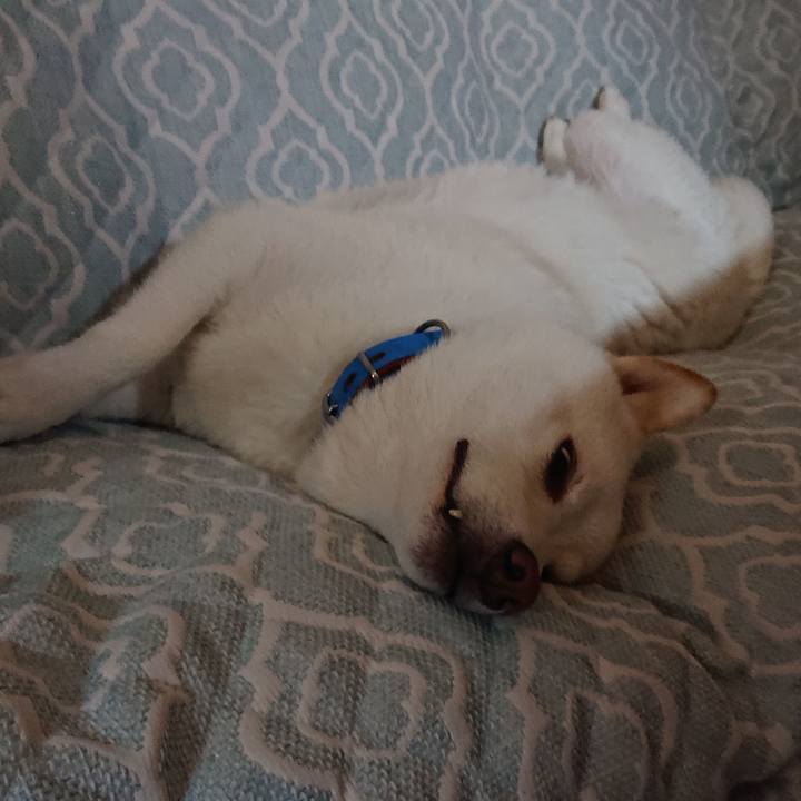 E25e2001 e0ba 46d3 ac11 ec264a9f0d4e 1598449709472