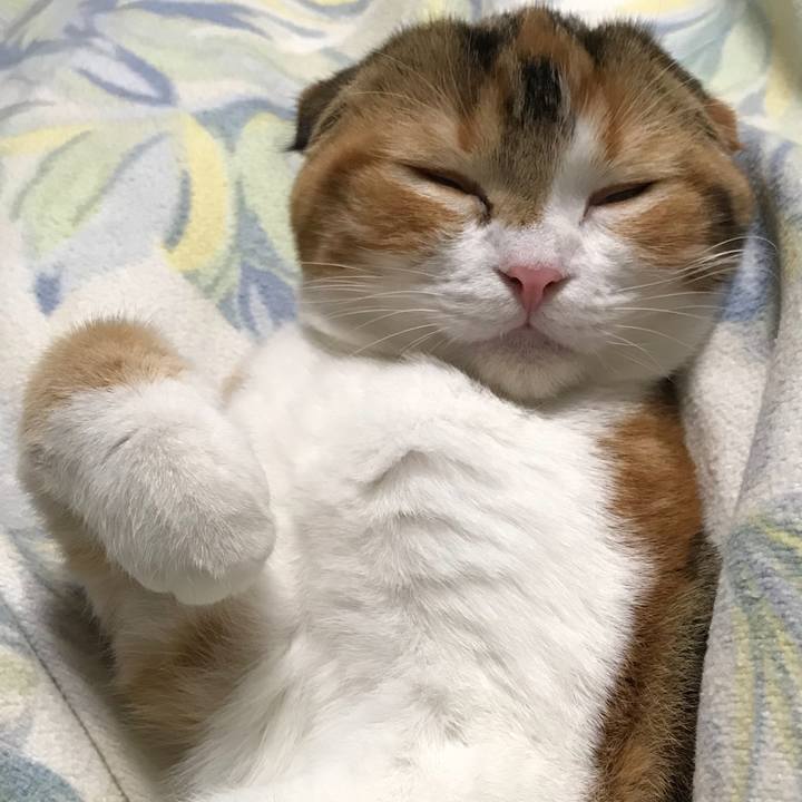 E25e3d25 294b 4373 9de4 784c01d0902d 1511610477397