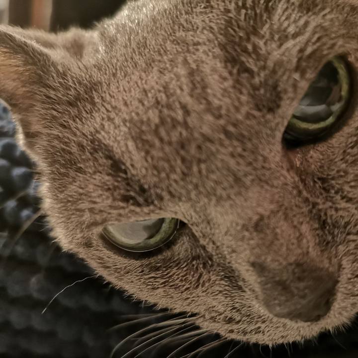 E25e609a 00b8 47f5 a034 aad80084ce85 1685452731710