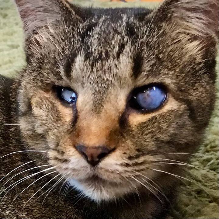 E25e7b4f 2b74 4e8d 9022 d545525a3f8c 1624692051258