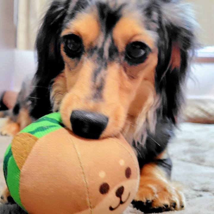 E25ee586 86c6 49e7 ae49 73bd80b6f308 1758949438869