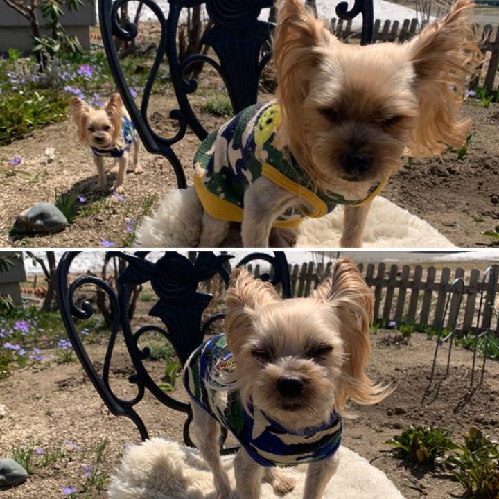 E25eeb35 2134 4e3a afd7 1aadb8a2073d 1619254871049