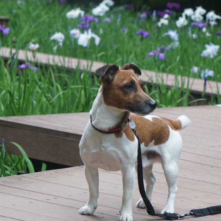 E25ef49c 4c4e 4ec1 98fe caa741f96d63 1527549145960