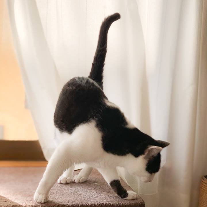 E25f05d2 d89b 46c3 a3d3 90ae95aadc7f 1577584085364