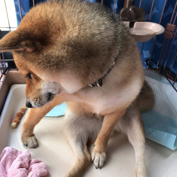 E25f1397 e94c 4cb0 8e76 aa5693dc4950 1533705588237