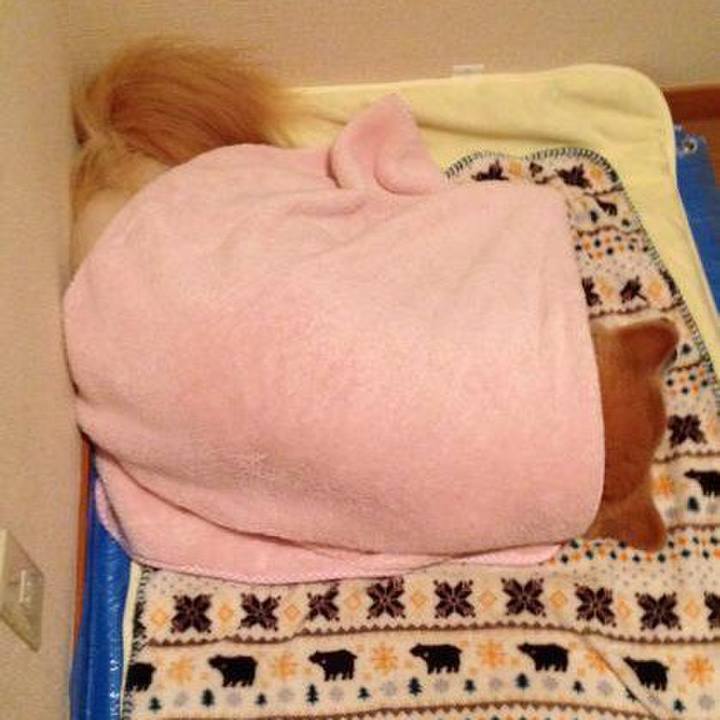 E25f17f7 78fa 4652 ab80 e7daf223c2ce 1539860024514