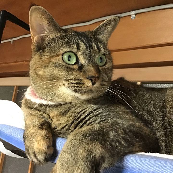 E25f1ca3 1c7b 4a12 b6e5 04ffbff294d7 1693830205281