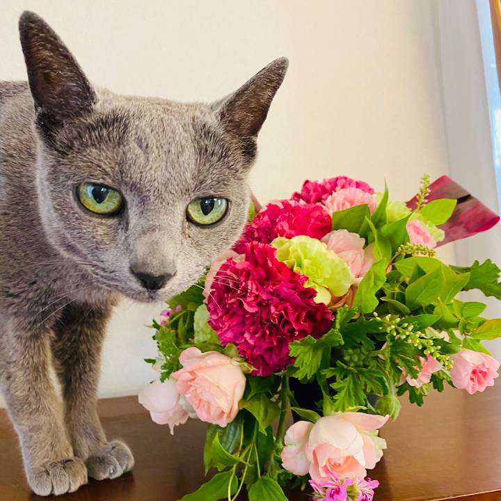 E25f8201 dbd9 40d2 a885 82612847cd13 1590235696928