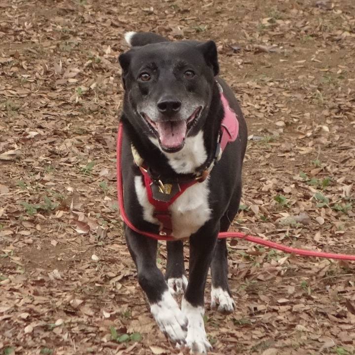 E25f9792 4156 42a0 a83e c6bac1bd5f4d 1700009013950