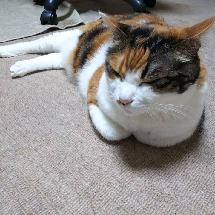 E26017cc fe7f 4c58 b8fb 4780a039320a 1531743017628