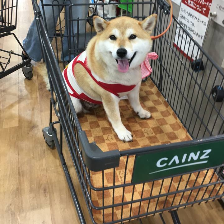 E260355b 3f4e 4ff9 9a21 638d4981cc9f 1560676655719