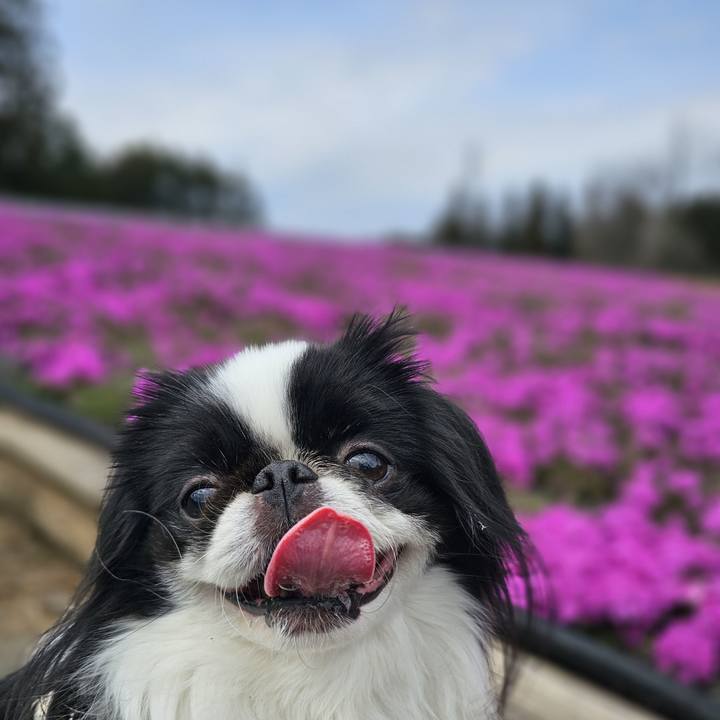 E2604892 d68e 4a83 94aa c32f61de3eb0 1712032408630