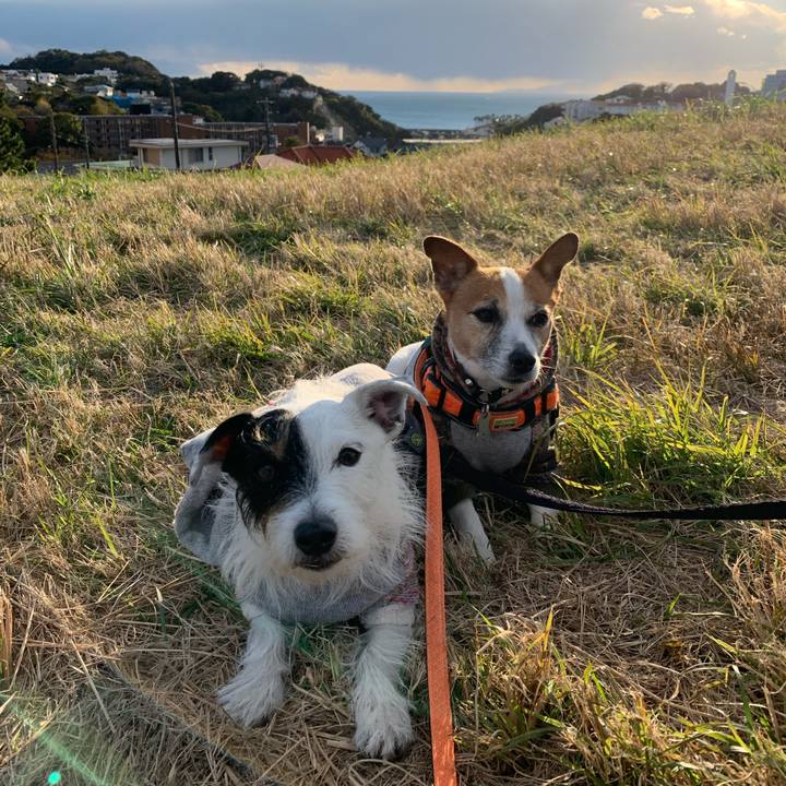 E260503b 79b5 40ab a4d7 2aff09a5240a 1637996073021