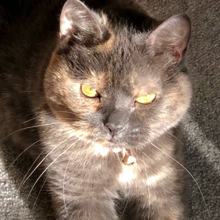 E2607c5d 7029 4fa8 880e bf270d7ffd3d 1604012567705